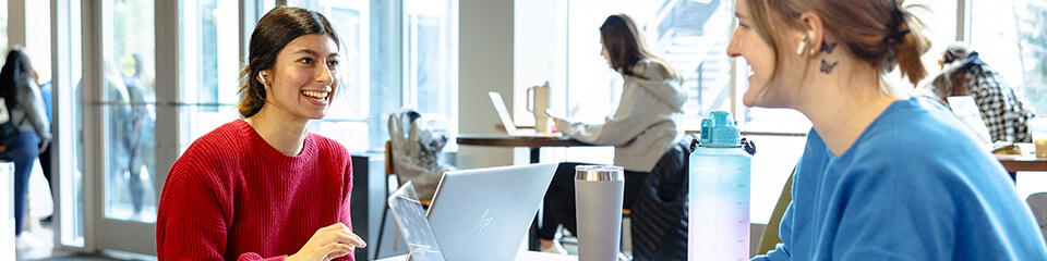Two students working at laptops in a common area of the Bone Student Center.
